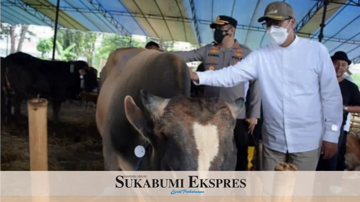 Kasus PMK Terkendali *Pemkot Sukabumi Tunggu Kiriman Dosis Kedua dari Pemprov