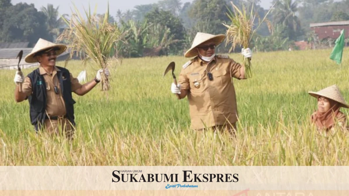 Tingkatkan Produksi, Poktan Didorong Manfaatkan Teknologi Tingkatkan Produksi, Poktan Didorong Manfaatkan Teknologi