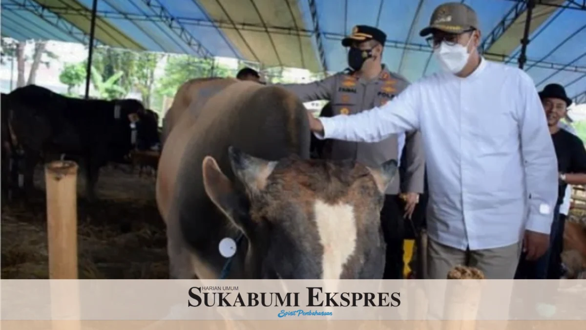 Gencarkan Pengawasan Hewan Ternak *Pastikan Kondisinya Sehat dan Layak Dekati Iduladha