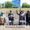 TNI AL Tanam Pohon Mangrove dan Sebar Benih Ikan