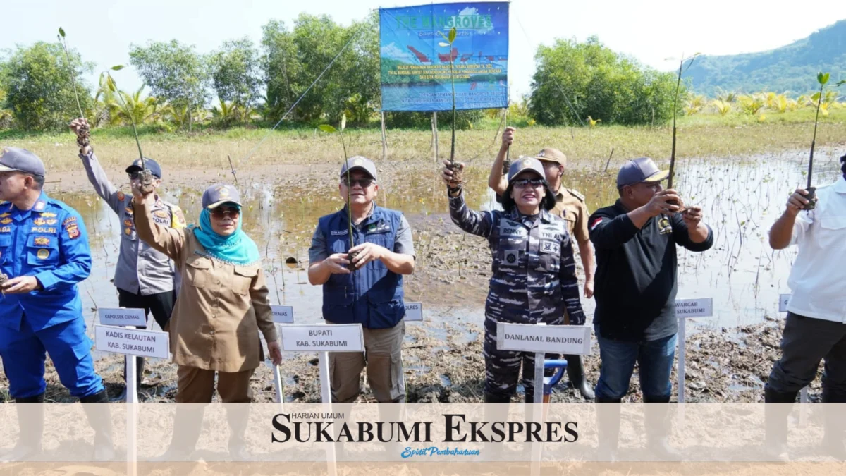 TNI AL Tanam Pohon Mangrove dan Sebar Benih Ikan