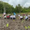 Peringati HUT ke-66, Danamon Ajak Karyawan Lakukan Penanaman 10.000 Pohon Mangrove