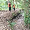 Ratusan Hektare Lahan Sawah di Cianjur Terancam Gagal Panen