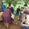 Geger! Warga Sukaraja Temukan Pria Gandir di Pohon Durian