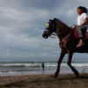 Jelang Libur Nataru, Sukabumi Tata Pantai Selatan