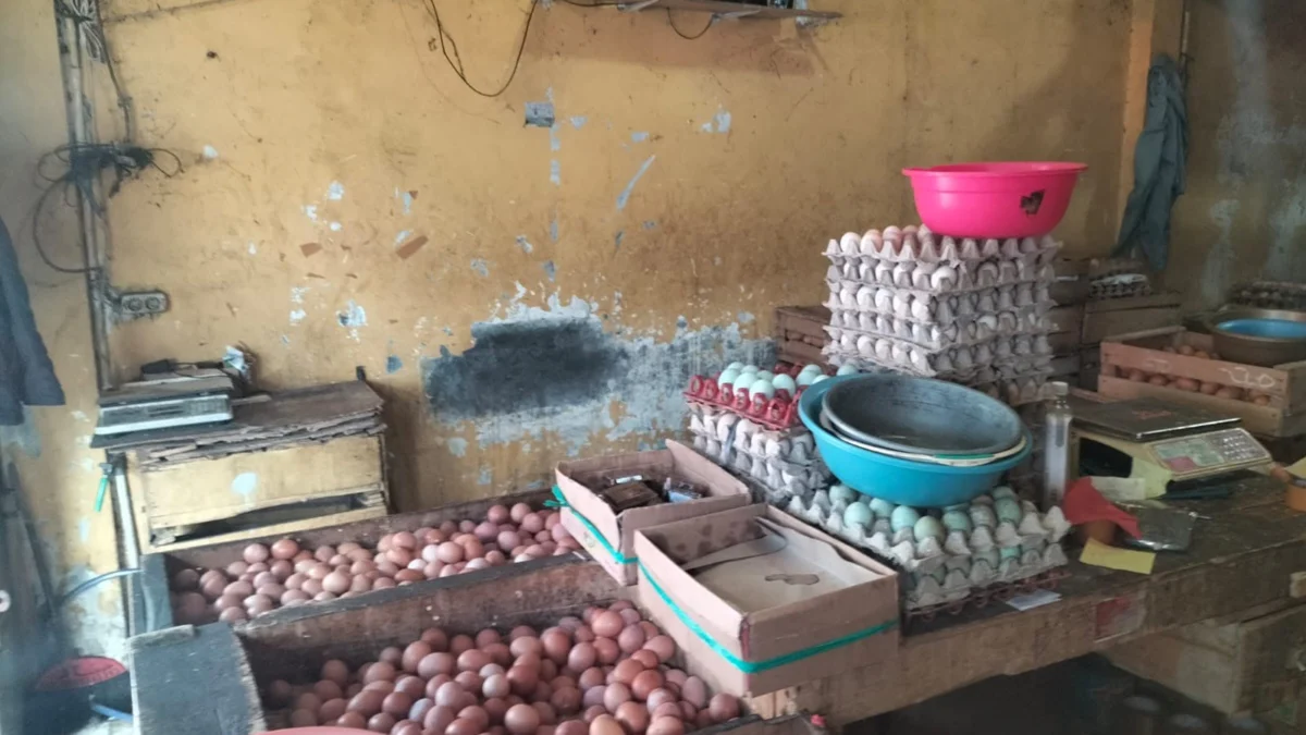 Harga Telur Ayam Terus Melambung, Saat Ini Tembus di Kisaran Rp32 Ribu per Kg