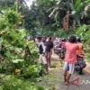 Jelang Akhir Tahun Potensi Bencana Meningkat, Kawasan Objek Wisata Selatan Sukabumi Diterjang Angin Kencang