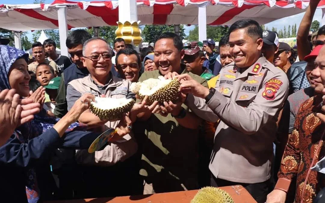 festival durian