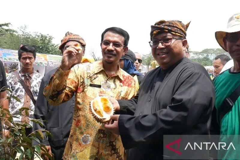 Kecamatan Cikakak jadi Pusat Durian Unggulan