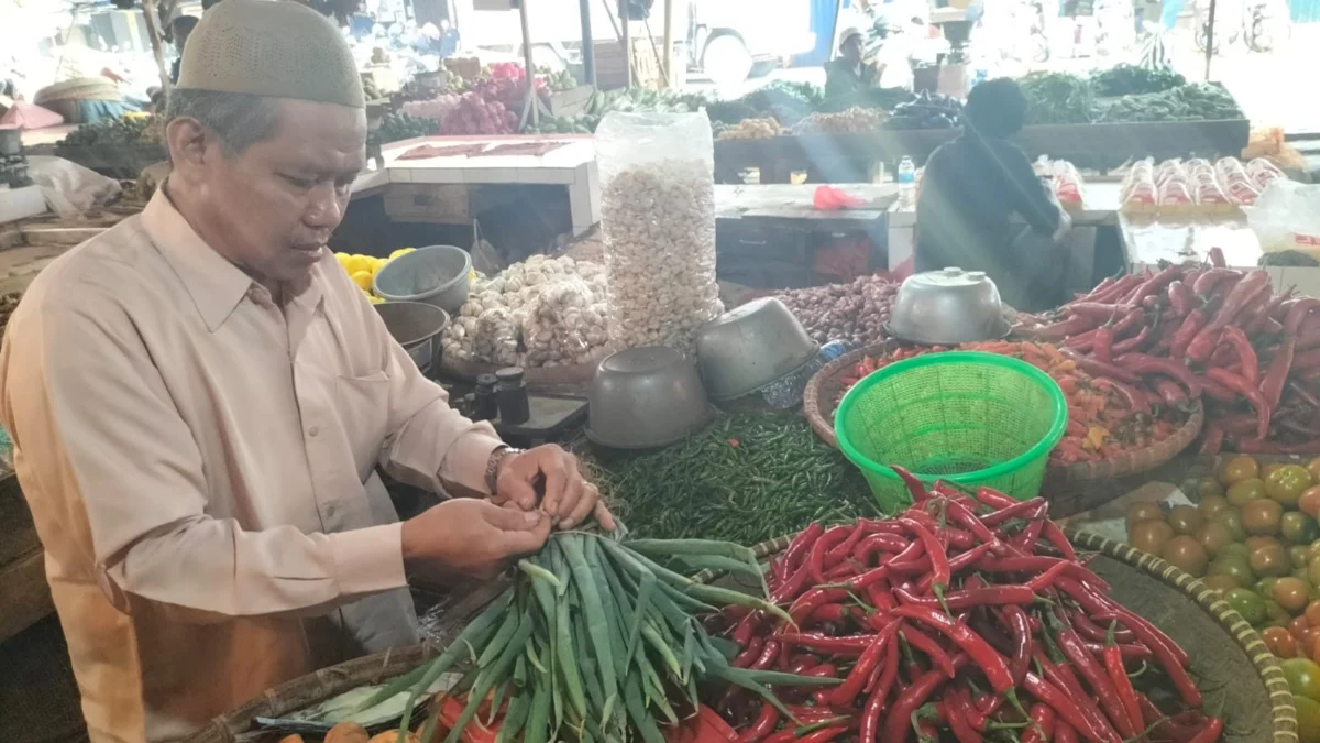 Harga Komoditas Cabai Berubah-ubah