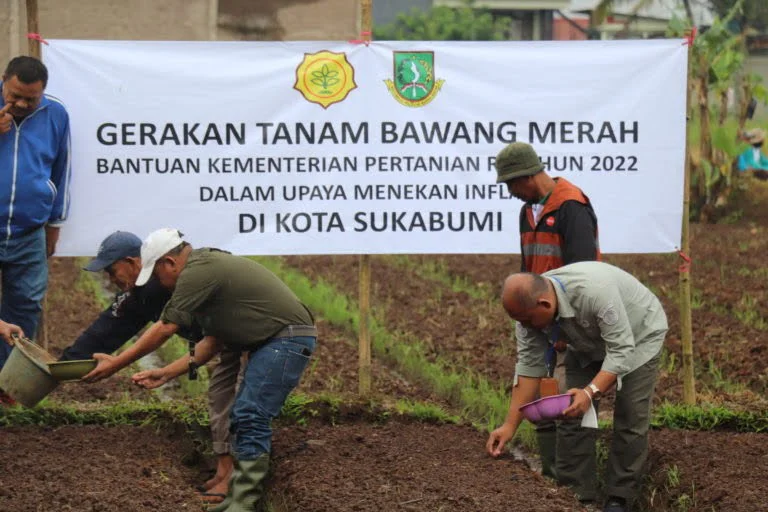 Bantu Pemerintah Tingkatkan Produksi Bawang Merah