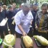 Petani Buah di Kampung Cibugis Gelar Festival Cempedak