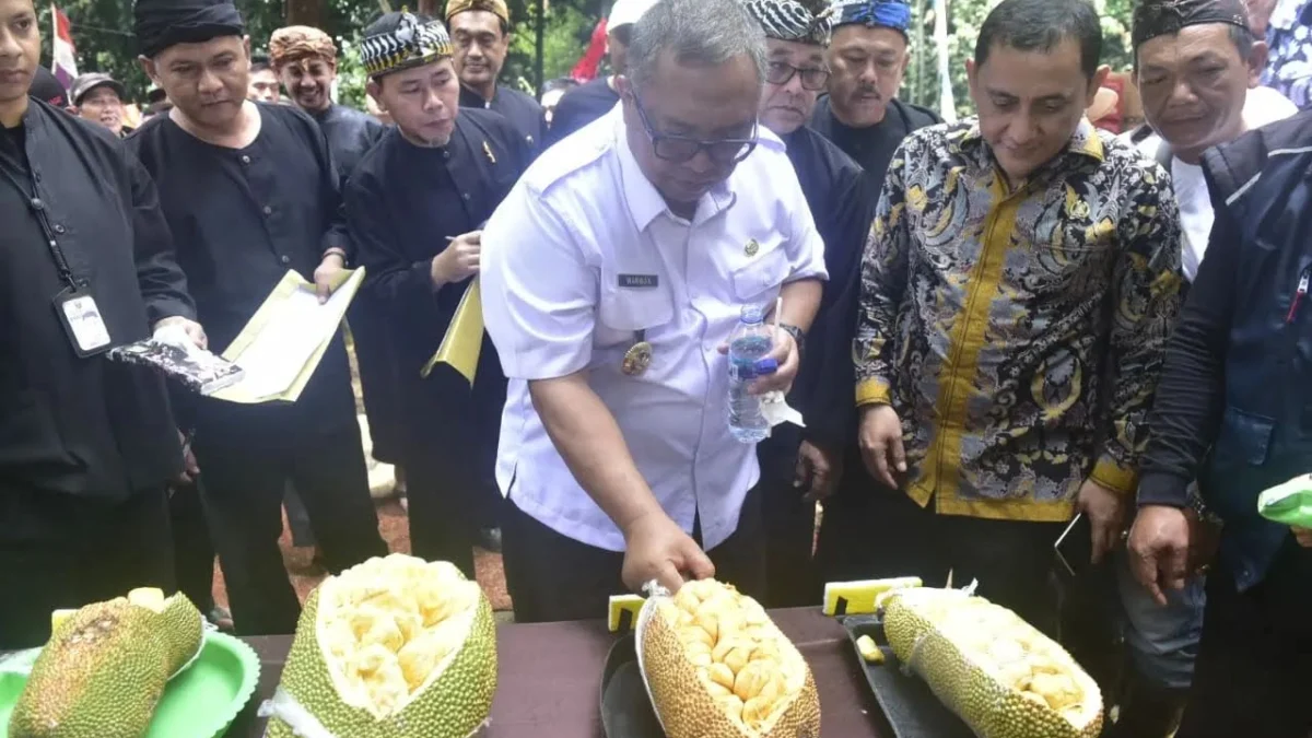 Petani Buah di Kampung Cibugis Gelar Festival Cempedak