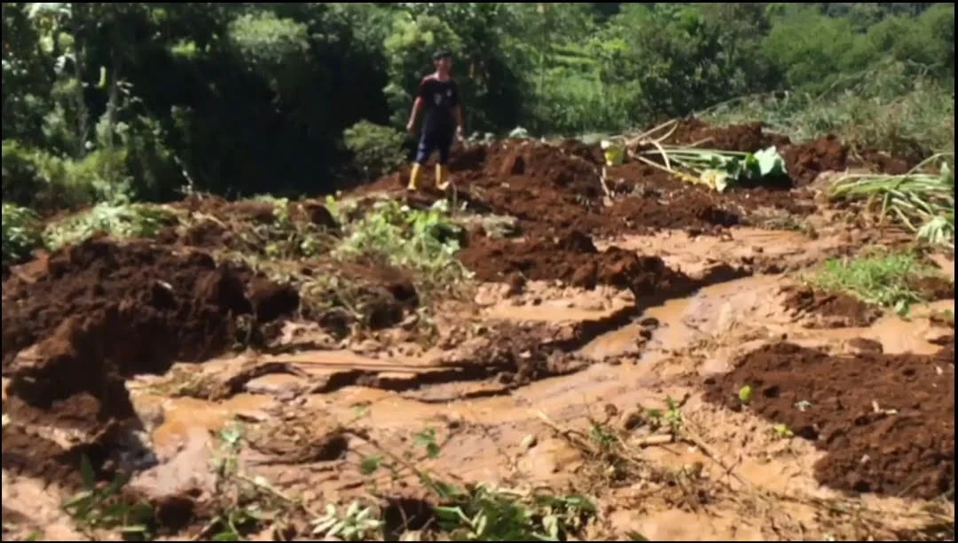 Puluhan Petak Sawah Tertimbun Longsor