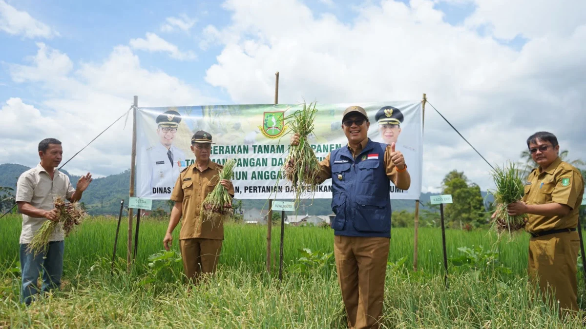 Panen Bawang Merah Diharapkan Cegah Inflasi