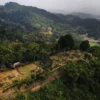 Rahasia Misteri di Balik Gunung Padang yang Belum Terpecahkan