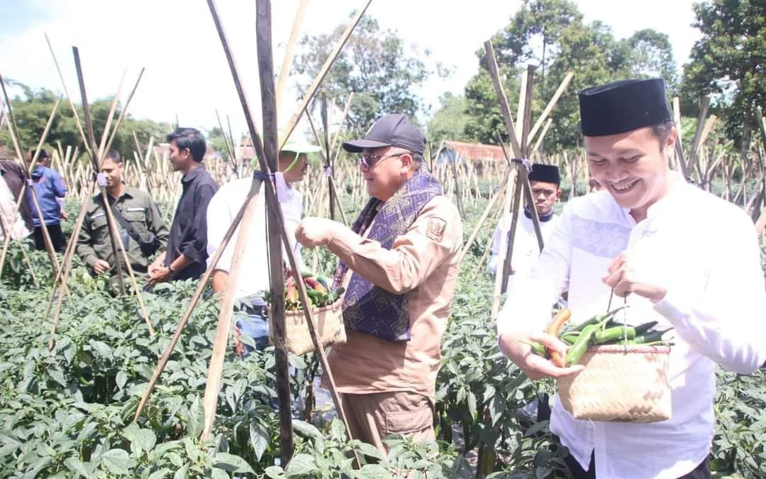 Pemkab dan BI Panen Raya Cabai Pangsi di Kampung Salaeurih