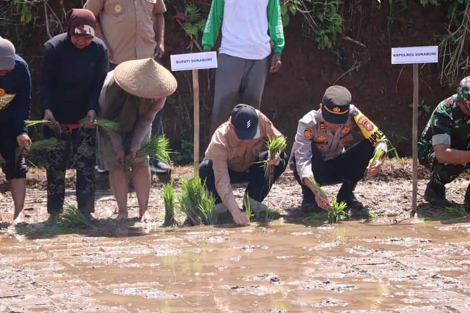 Wabup Dampingi Pangkostrad Panen Jagung di Ciemas