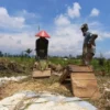 Musim Panen tak Untungkan Petani, Dipengaruhi Kondisi Curah Hujan Tinggi