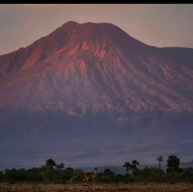 (Sumber Gambar : Instagram @btn_baluran/Destinasi Wisata Banyuwangi)