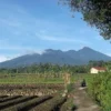 (Sumber Gambar : Pixabay/Menjelajahi Keindahan Gunung di Sukabumi)