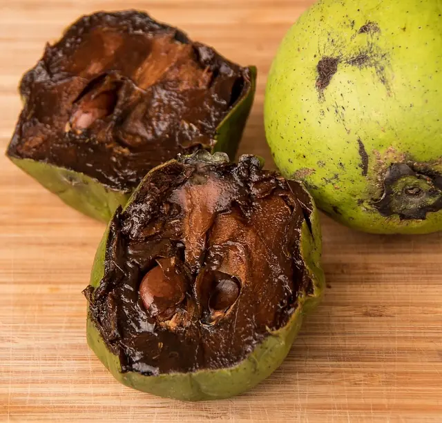 (Sumber Gambar : Pixabay/Manfaat buah Sapote)