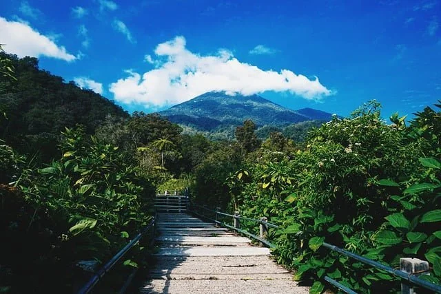 (Sumber Gambar : Pixabay/Pendakian Gunung Gede Pangrango)