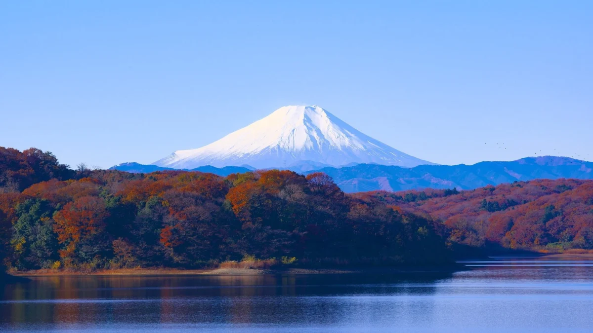 (Sumber Gambar : pixabay/Fakta Menarik Gunung Fuji)