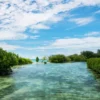 Jakarta tidak hanya tentang macet dan banjir saja, namun Jakarta mempunyai pulai yang indah yaitu Pulau Harapan sebagai salah satu pulau terindah dih gugusan kepualauan seribu. Pulau ini termasuk pulau yang padat penduduk meskipun tidak sepadat pulau pramuka. Saat ini Pulau Harapan menjadi salah satu destinasi wisata yang banyak di kunjungi.