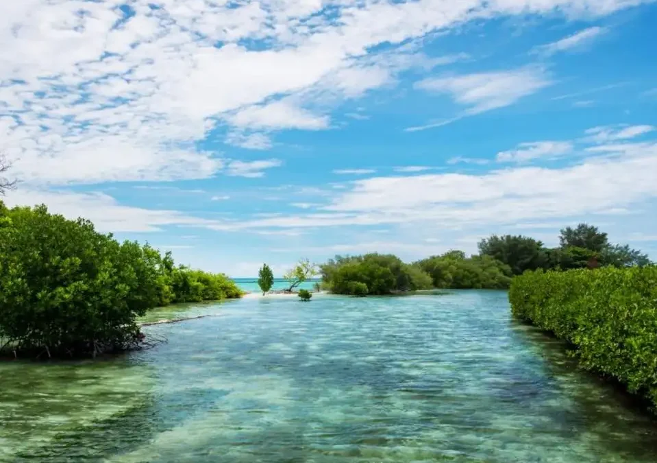 Jakarta tidak hanya tentang macet dan banjir saja, namun Jakarta mempunyai pulai yang indah yaitu Pulau Harapan sebagai salah satu pulau terindah dih gugusan kepualauan seribu. Pulau ini termasuk pulau yang padat penduduk meskipun tidak sepadat pulau pramuka. Saat ini Pulau Harapan menjadi salah satu destinasi wisata yang banyak di kunjungi.