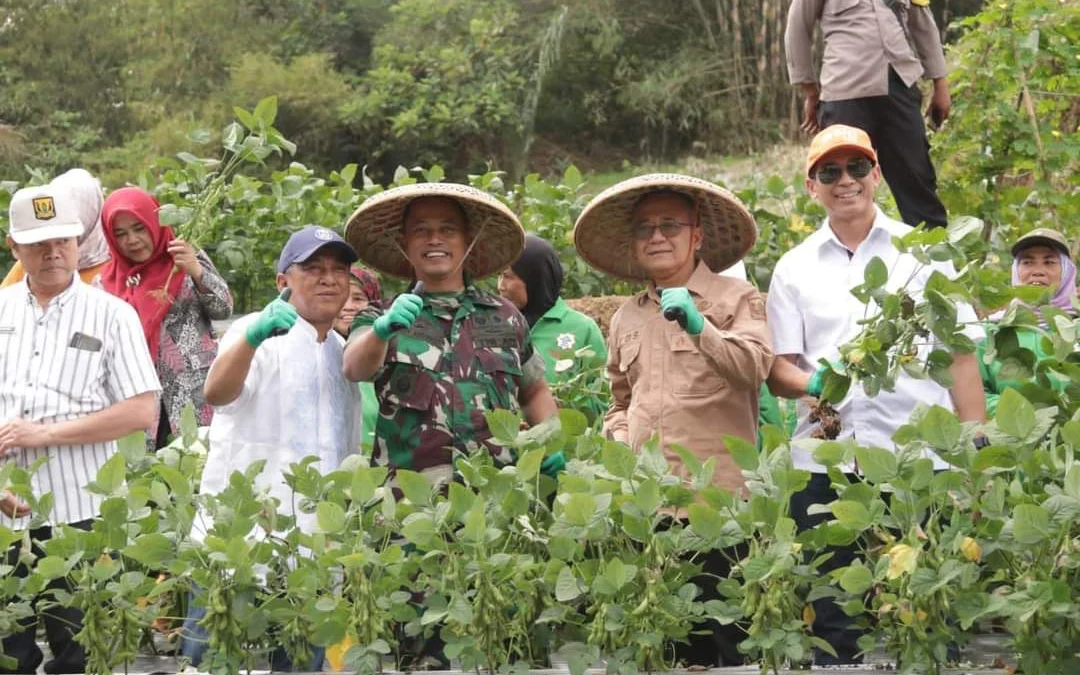 Apresiasi Panen Raya Kacang Edamame di Darul Ihsan Istiqomah