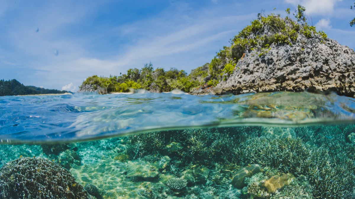 (Sumber Gambar: Freepik/Destinasi Raja Ampat Papua)