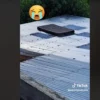 video tiktok kasur pindah sendiri