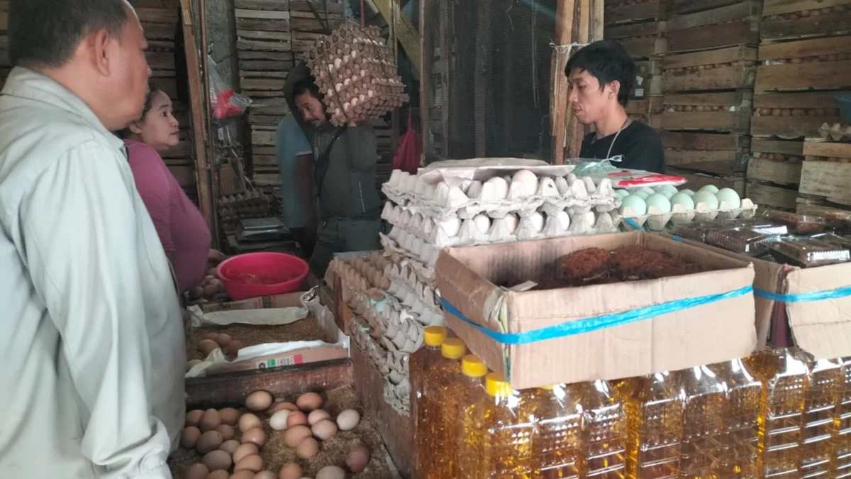 Harga Telur Ayam Masih Mahal