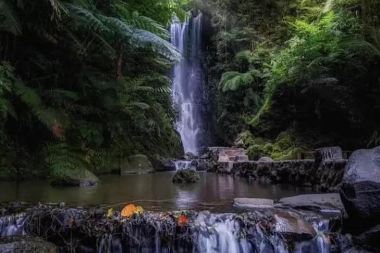 Yuk! Manjakan Dirimu dengan Pesona Wisata Curug Sadim Subang