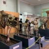 Deretan Wisata Edukasi Terpopuler di Bogor, Ada Museum Zoologi