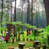 5 Wisata Alam Hutan Pinus Bogor yang Memiliki Pesona Keindahan