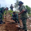 Perhutani Reboisasi Lokasi Tambang Emas Ilegal Blok Cibuluh