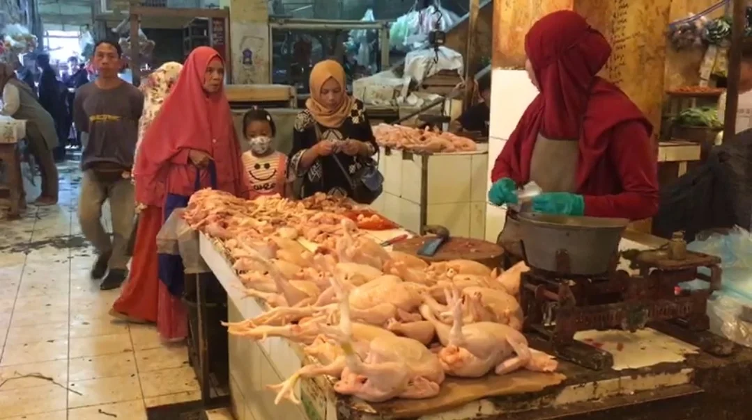 Kurun Sepekan Harga Daging Ayam Dua Kali Naik