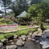 Cocok untuk Healing! Ini Pesona Indah Wisata Pondok Halimun Sukabumi