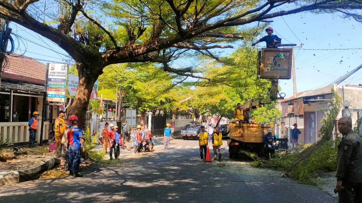 Tim Gabungan Pangkas Pohon di Jalan Bhayangkara Palabuhanratu