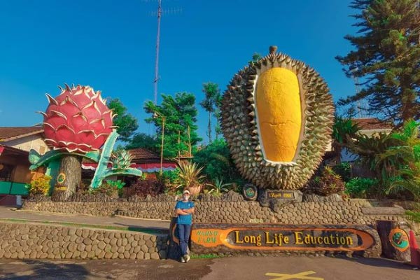 Rekomendasi Tempat Makan Durian di Bogor dengan Harga Ramah Kantong