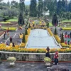 3 Rekomendasi Wisata Puncak Pass bogor yang Lagi Viral