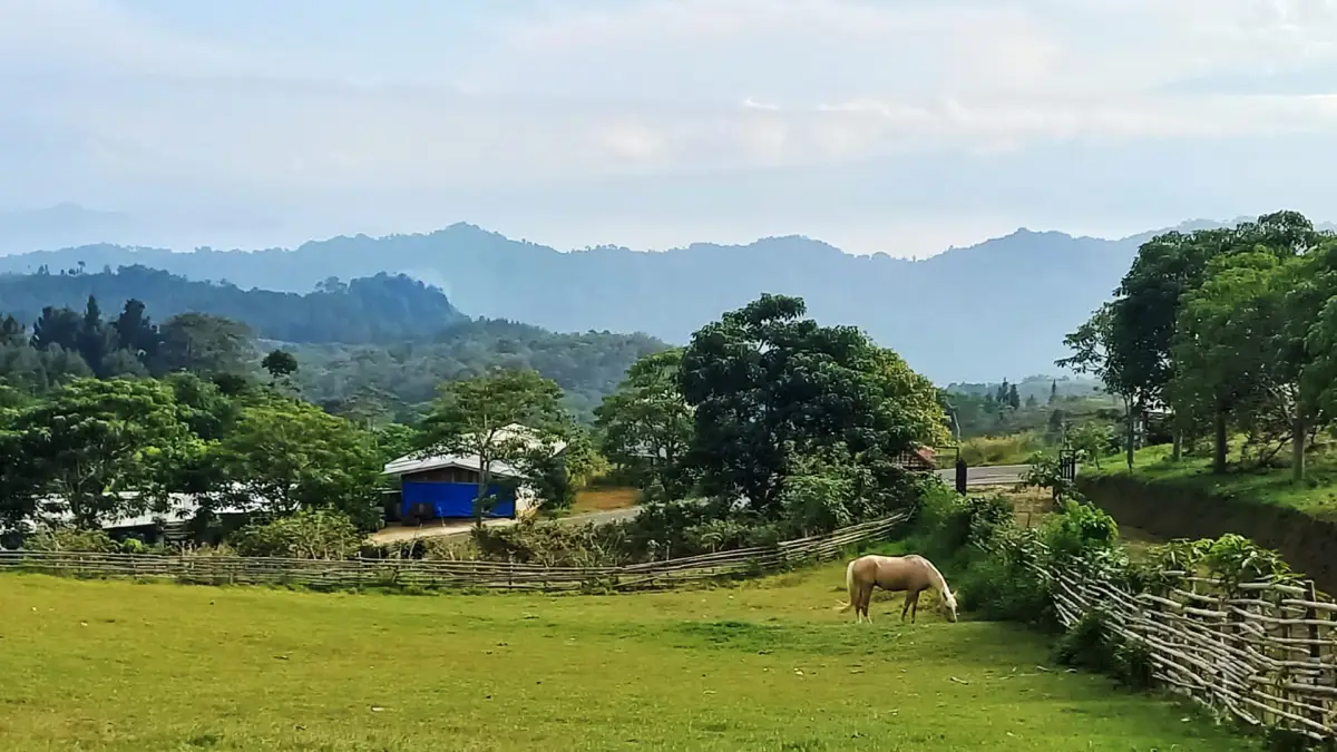 Healing Bareng Ayang ke Wisata Pasir Salam Sukabumi, Harga Terjangkau