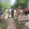 Satpol PP Gruduk Penebang Pohon di Lahan Milik Pemkab