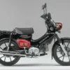 Honda Cross Cub 50 Ternyata Sudah Resmi di Indonesia, Iritnya Gak Nanggung!