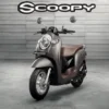 Honda Scoopy