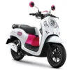 Honda Scoopy