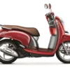 Honda Scoopy