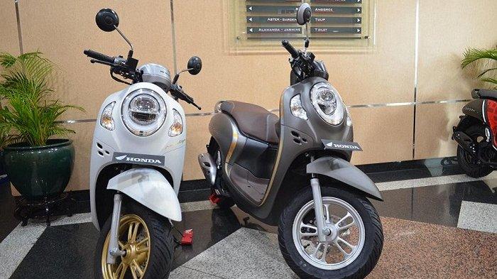 Honda Scoopy